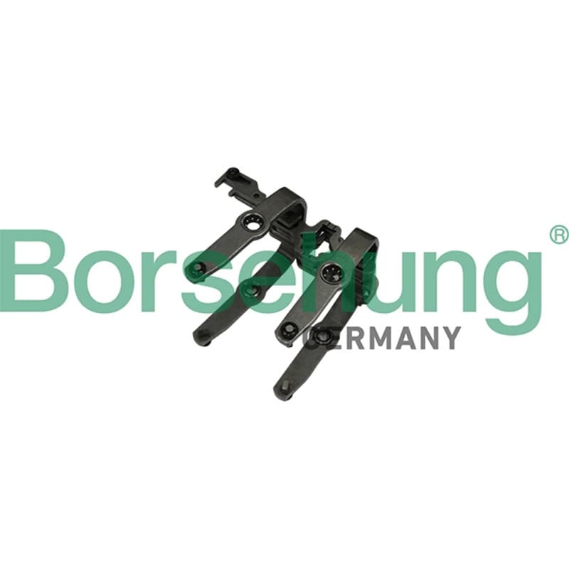BORSEHUNG Perjungiklio šakė B10907