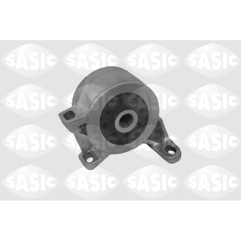 SASIC variklio montavimas 9002459
