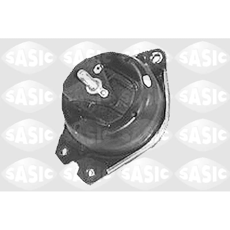 SASIC variklio montavimas 4001832