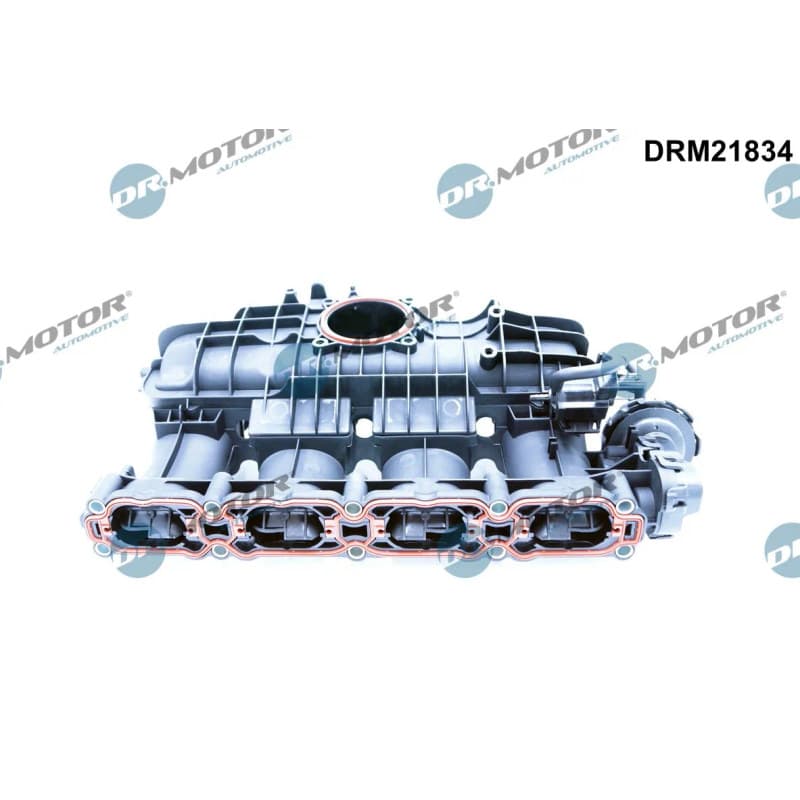 DRMOTORAUTOMOTIVE įsiurbimo kolektoriaus modulis DRM21834
