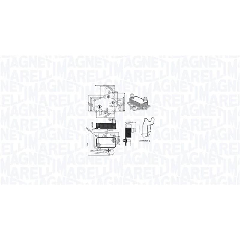MAGNETIMARELLI alyvos aušintuvas, variklio alyva 350300000400