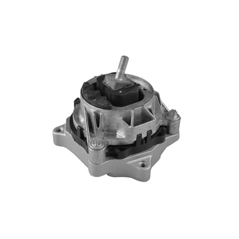 TEDGUM variklio montavimas TED56344