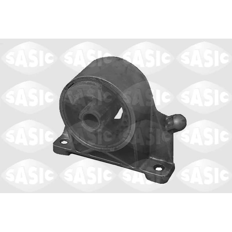 SASIC variklio montavimas 9002476
