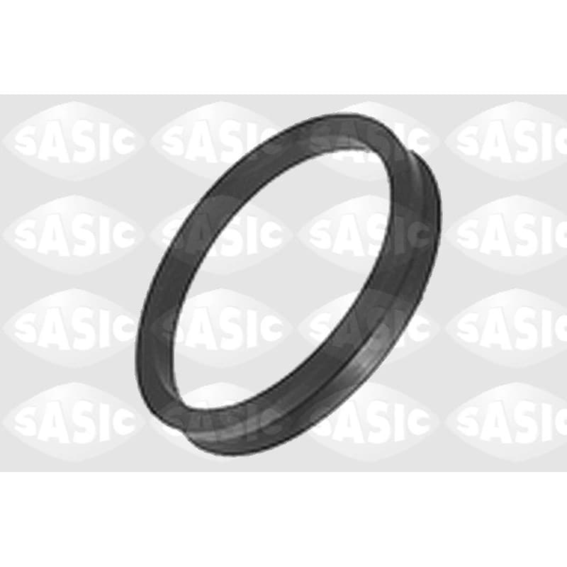 SASIC Pakabos statramsčio atraminis guolis 0355505