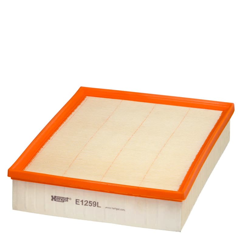 HENGSTFILTER oro filtras E1259L