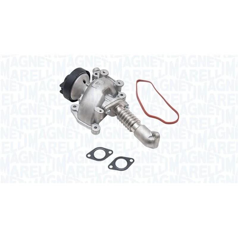 MAGNETIMARELLI ERG vožtuvas 571822112228