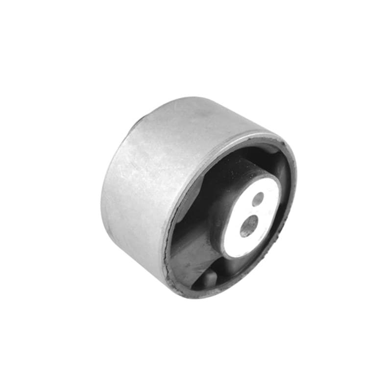 TEDGUM variklio montavimas 00136751