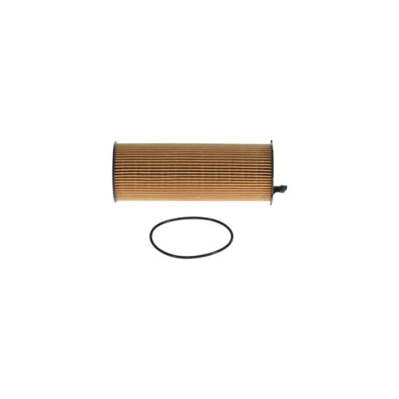BOSCH F 026 407 066 alyvos filtras