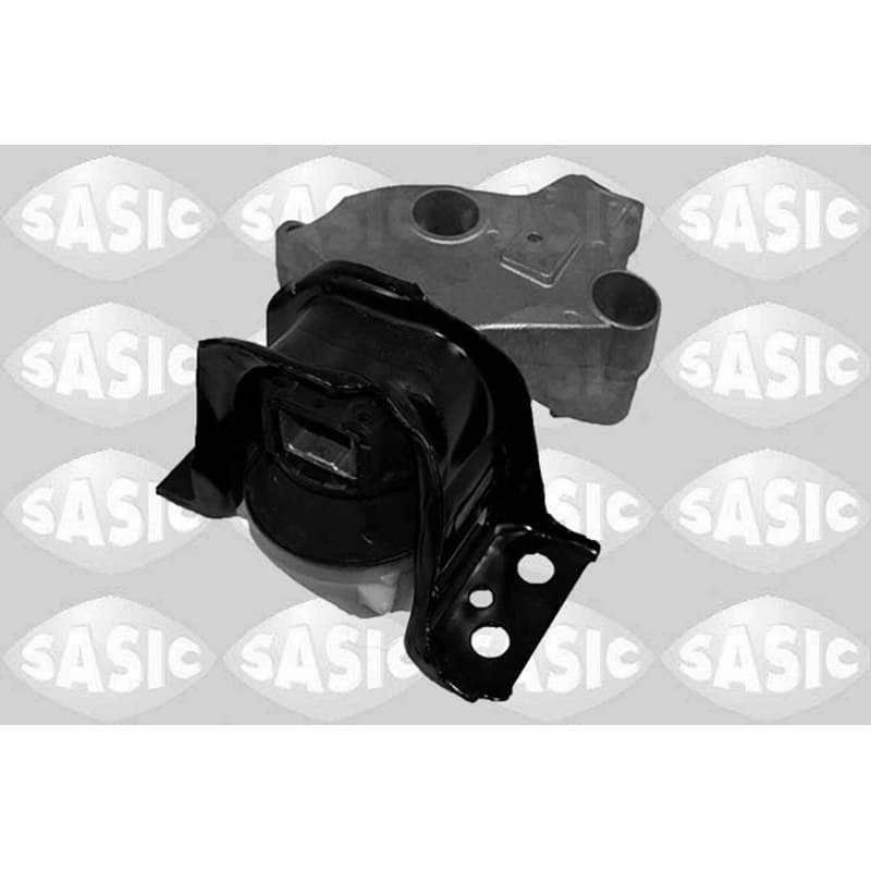 SASIC variklio montavimas 2704102