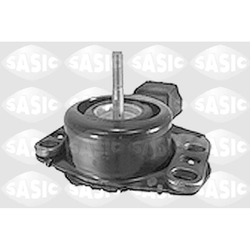 SASIC variklio montavimas 4001798