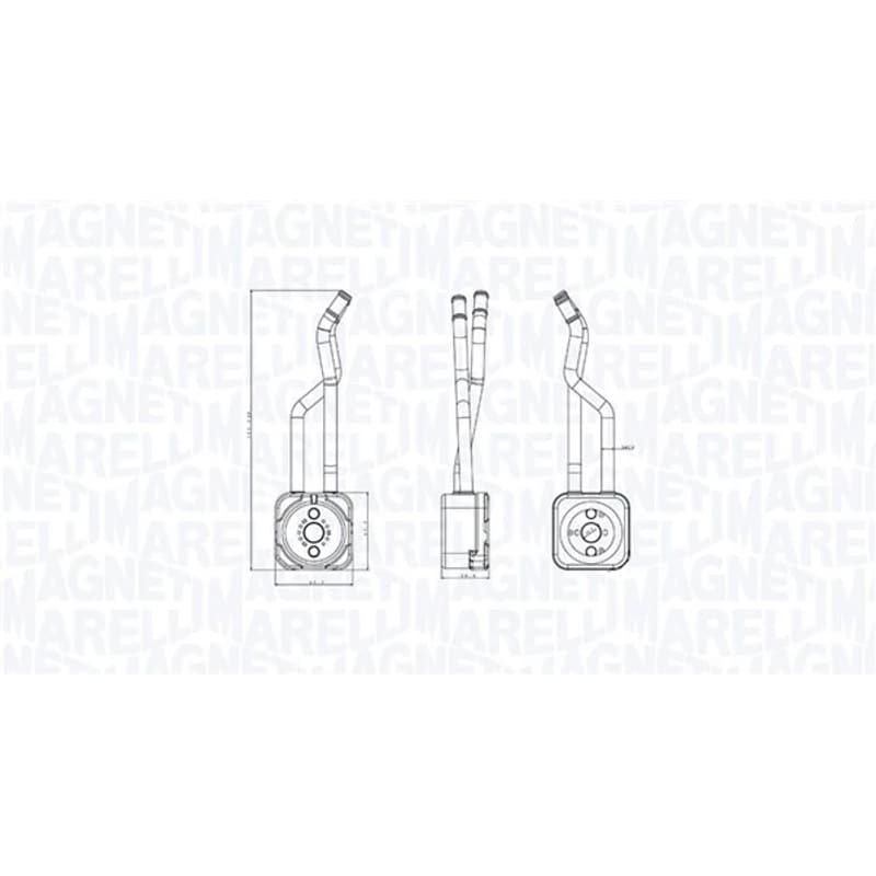 MAGNETIMARELLI alyvos aušintuvas, variklio alyva 350300003800