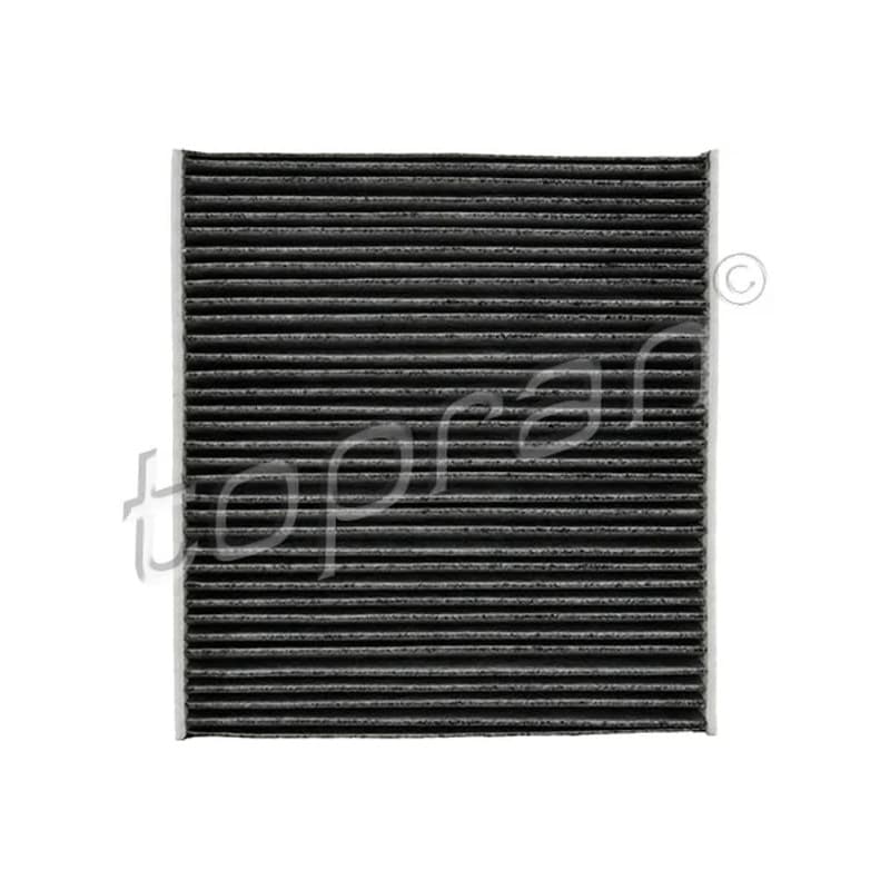 TOPRAN 114 418 filtras, salono oras