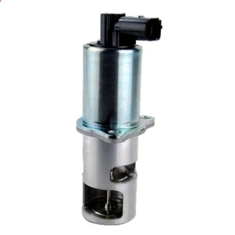 MAGNETIMARELLI ERG vožtuvas 571822112016