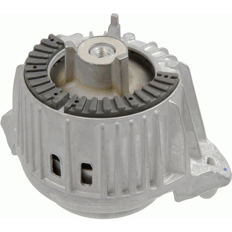 LEMFRDER variklio montavimas 37289 01