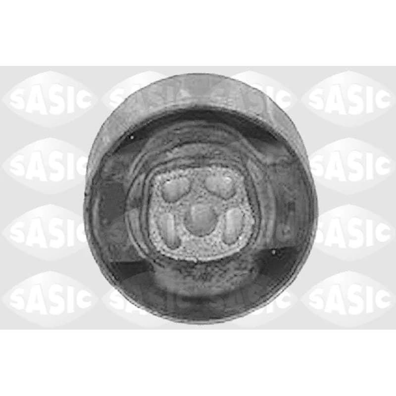 SASIC variklio montavimas 8091331
