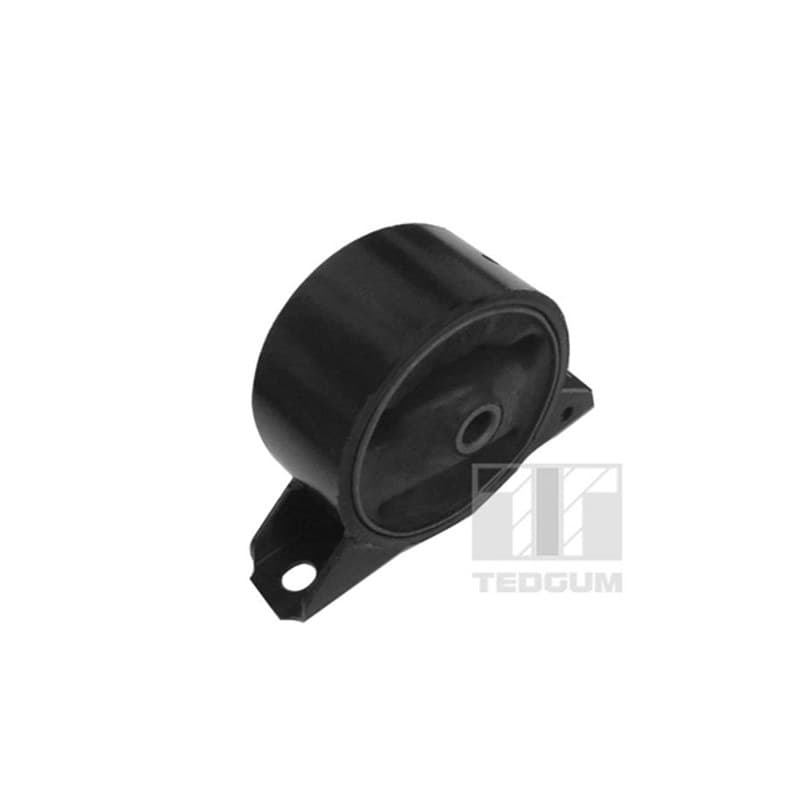 TEDGUM variklio montavimas 00748642