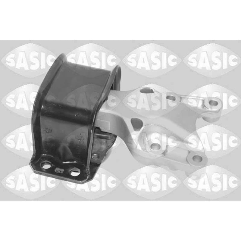 SASIC variklio montavimas 2700103