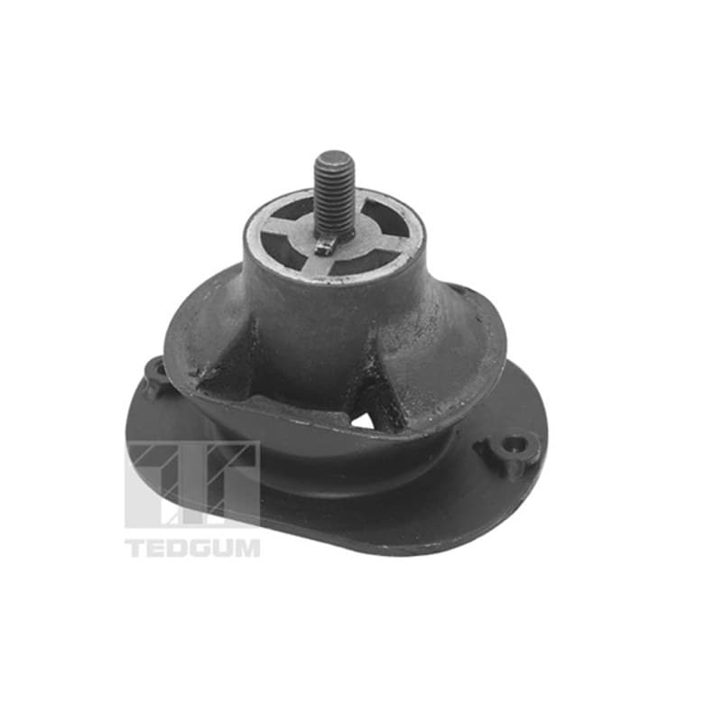 TEDGUM variklio montavimas TED40521