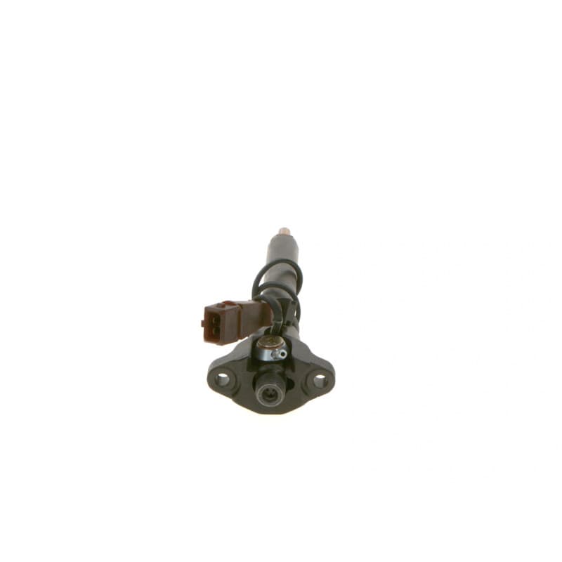 BOSCH 0 432 191 527 purkštukas