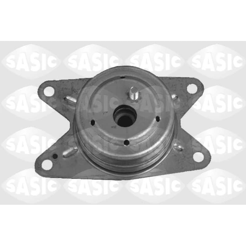 SASIC variklio montavimas 9002485
