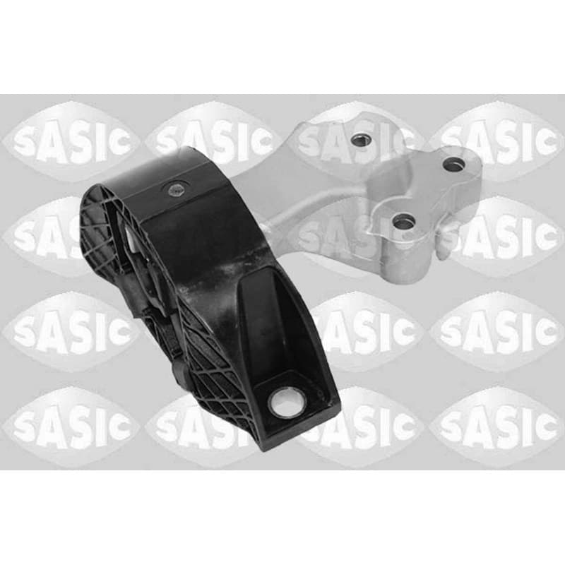 SASIC variklio montavimas 2704120