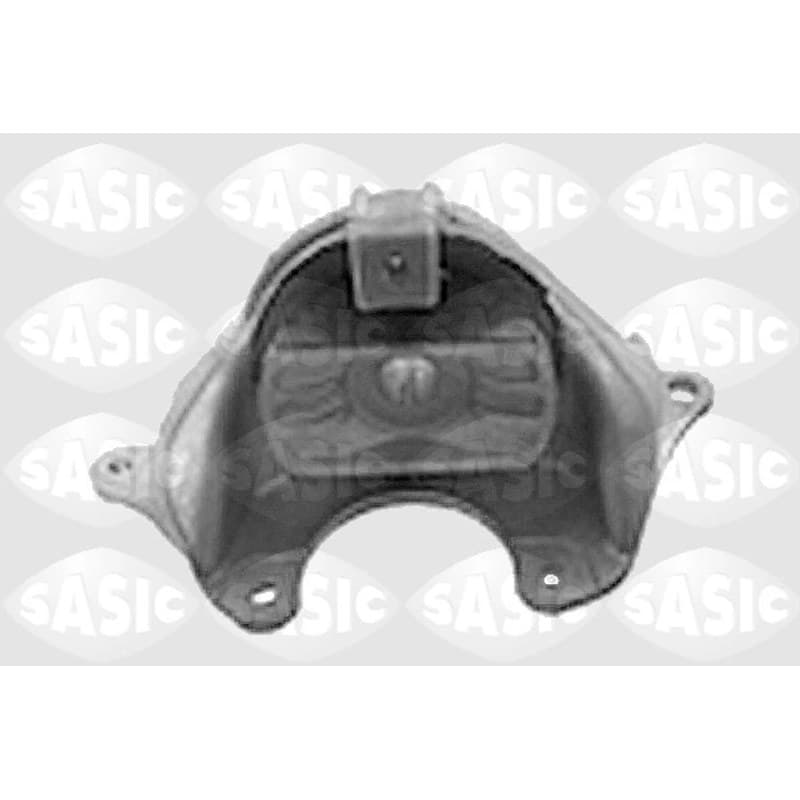 SASIC variklio montavimas 9001914