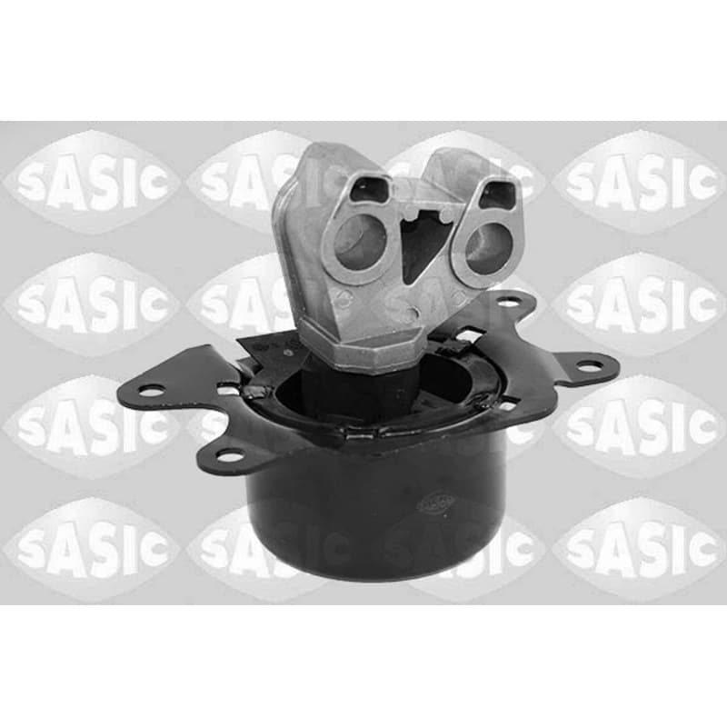SASIC variklio montavimas 2706203
