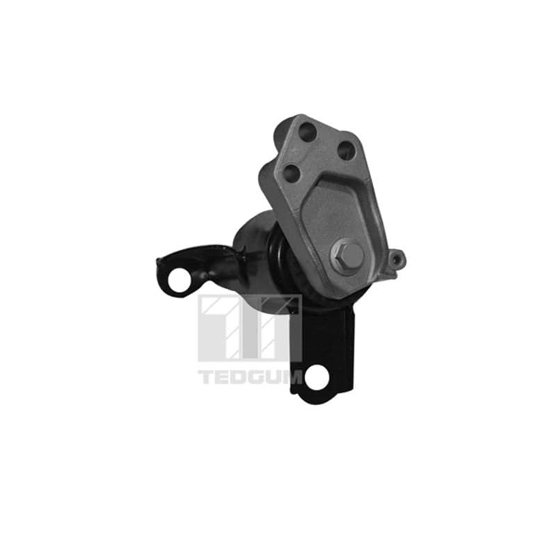 TEDGUM variklio montavimas 00228507