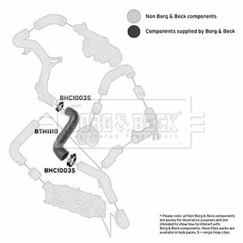 BORGBECK kompresoriaus padavimo žarna BTH1110