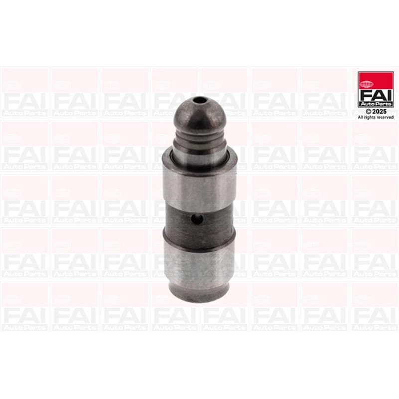 FAIAUTOPARTS svirtis/kumštelis BFS148S