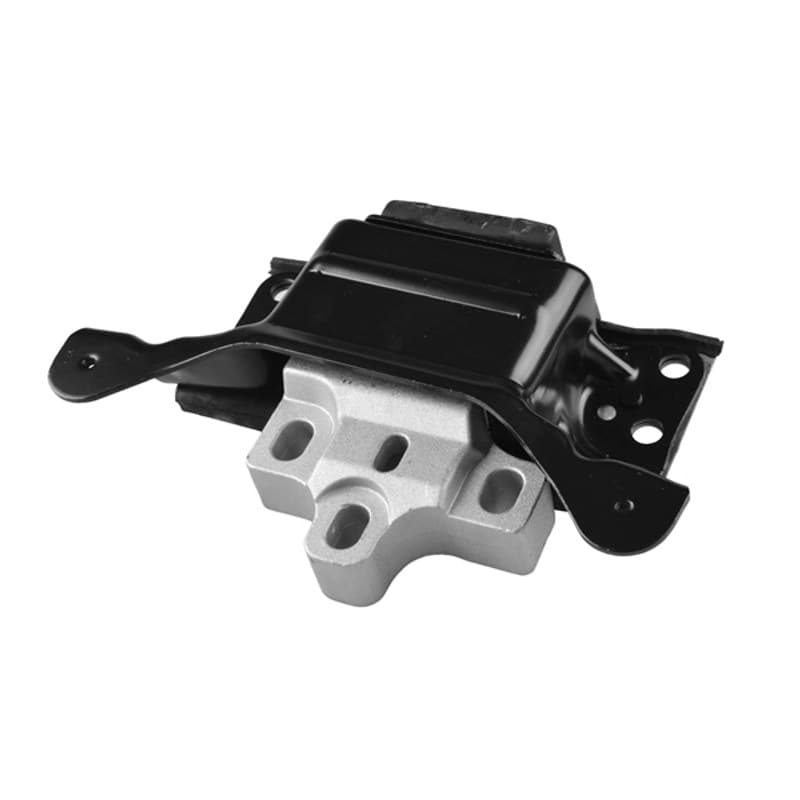 TEDGUM variklio montavimas TED31803