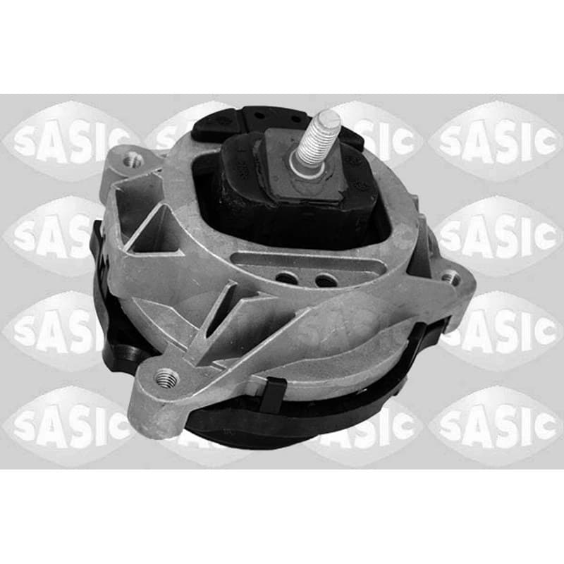 SASIC variklio montavimas 2706479