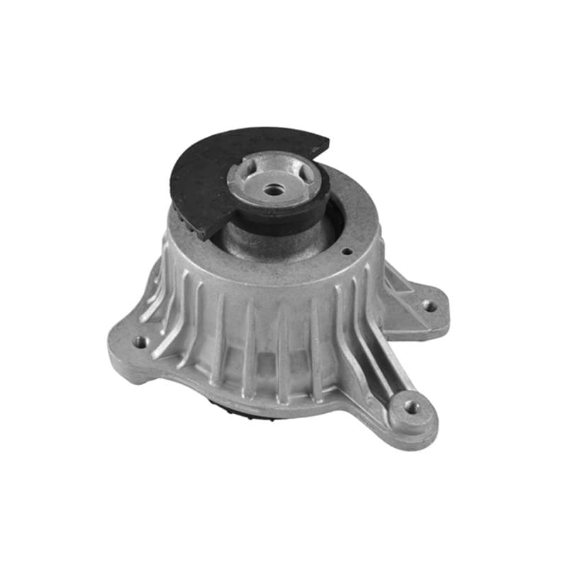 TEDGUM variklio montavimas TED25884