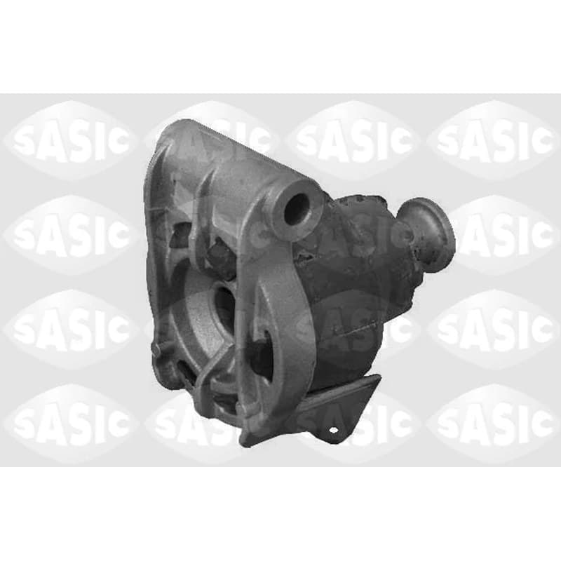 SASIC variklio montavimas 9002474