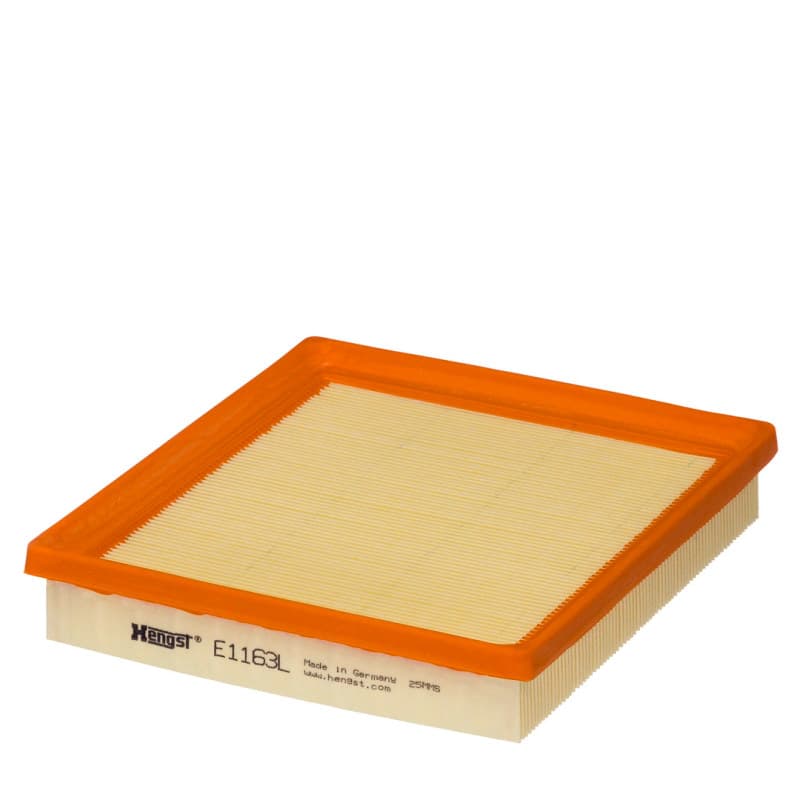 HENGSTFILTER oro filtras E1163L