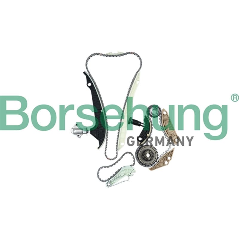 BORSEHUNG paskirstymo grandinės komplektas B16298