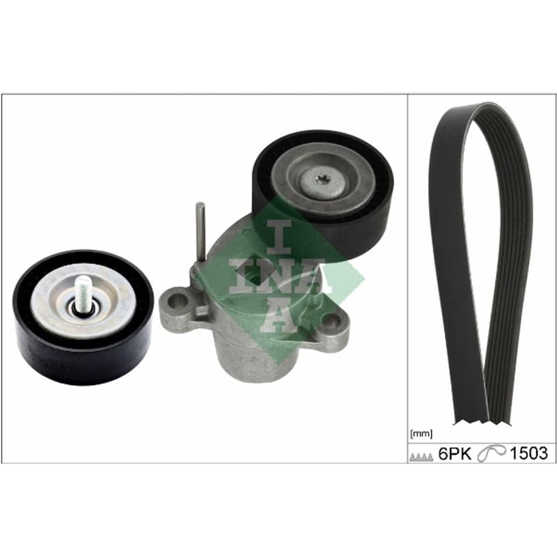 SCHAEFFLERINA V formos rumbuotas diržas, komplektas 529 0338 10