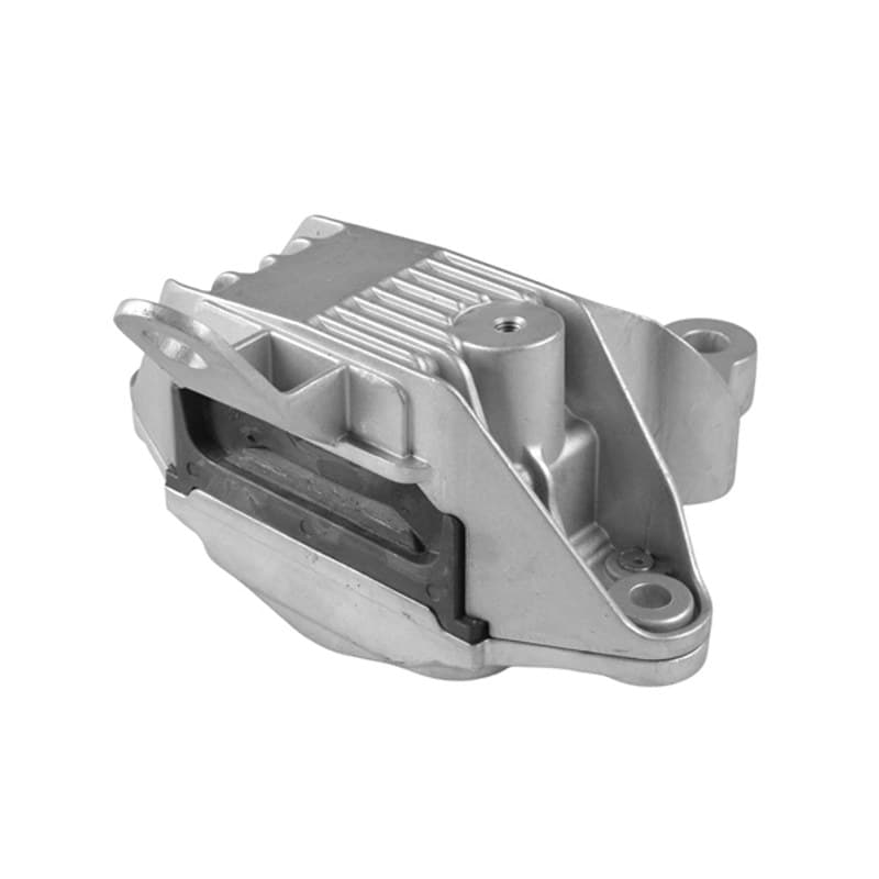TEDGUM variklio montavimas TED89529