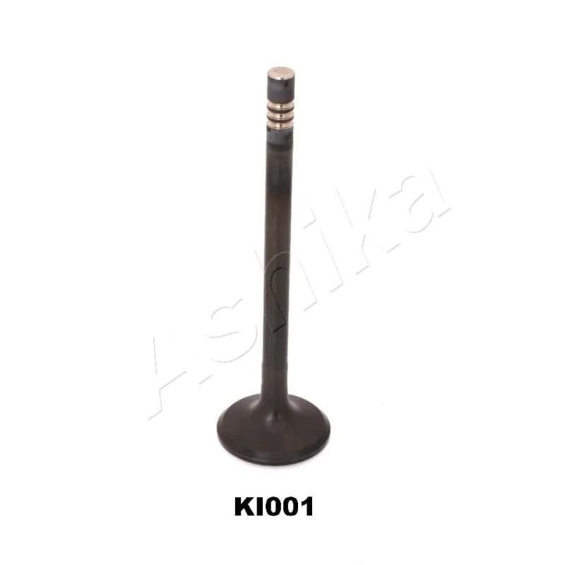 ASHIKA įvado vožtuvas 15KI001