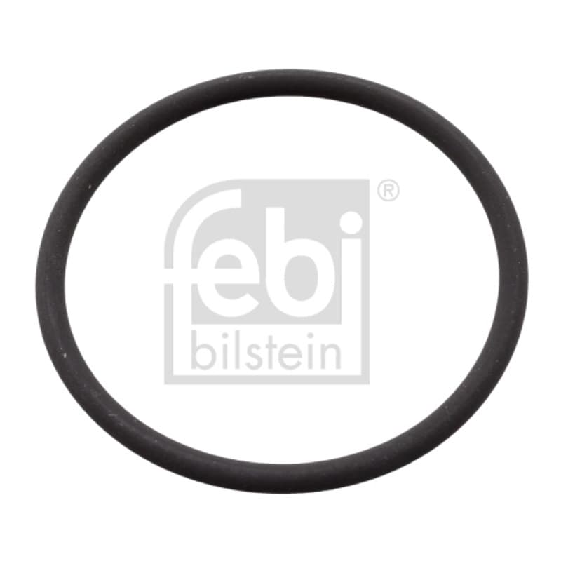 FEBIBILSTEIN tarpiklis, purškimo siurblys 106582