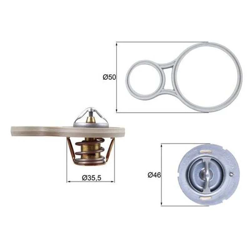 MAHLE TX 255 91 termostatas, aušinimo skystis
