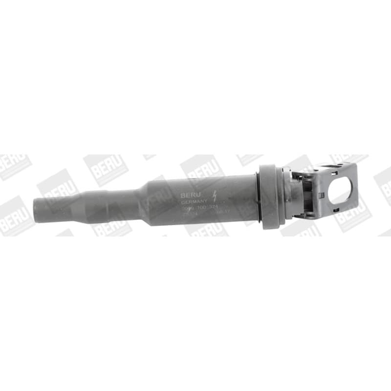 BORGWARNERBERU ritė, uždegimas ZS324