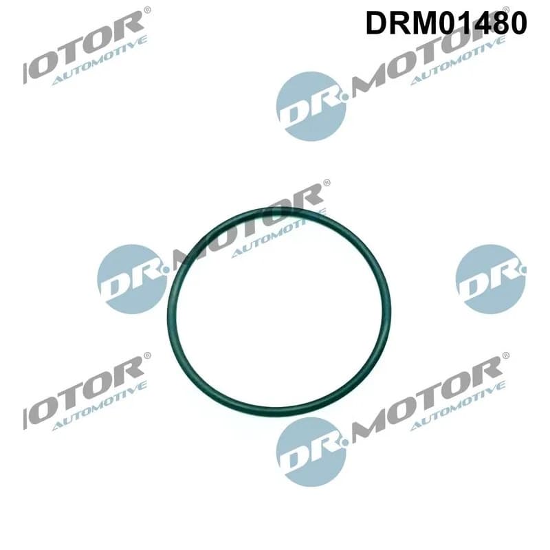 DRMOTORAUTOMOTIVE tarpiklis, purškimo siurblys DRM01480