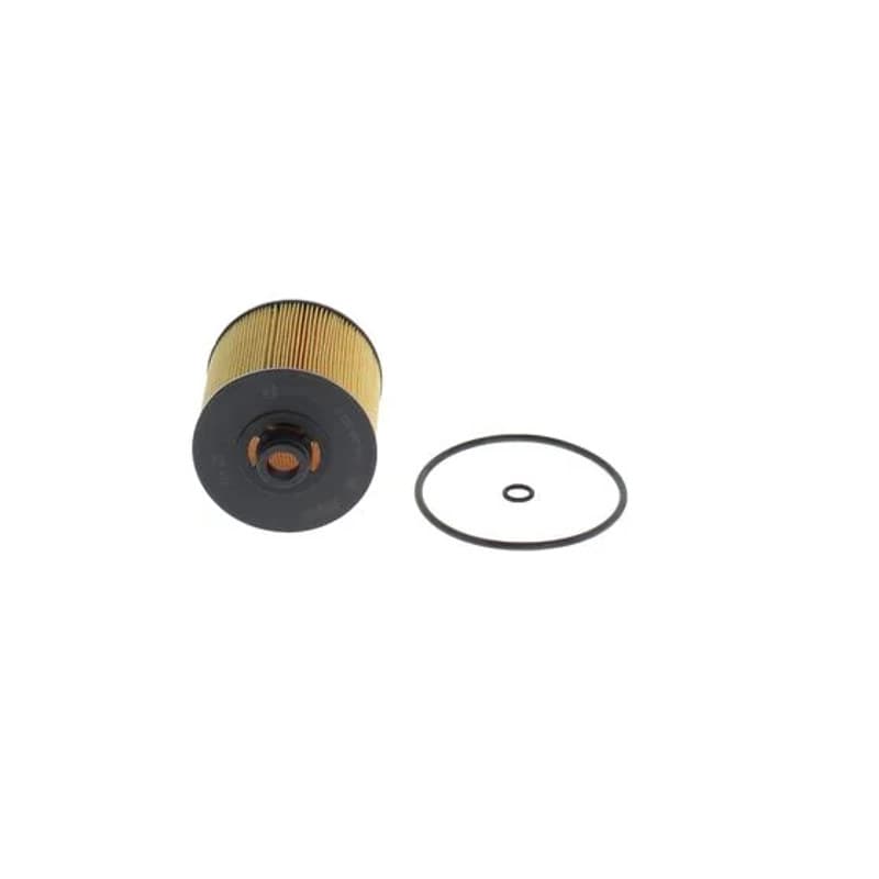 BOSCH F 026 407 316 alyvos filtras