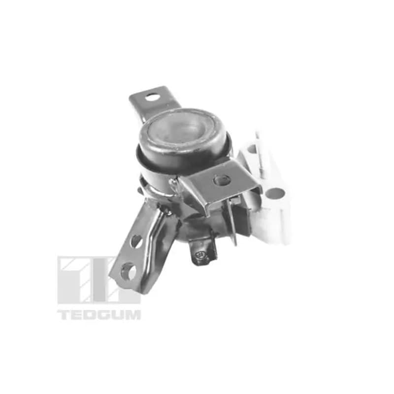 TEDGUM variklio montavimas TED13922