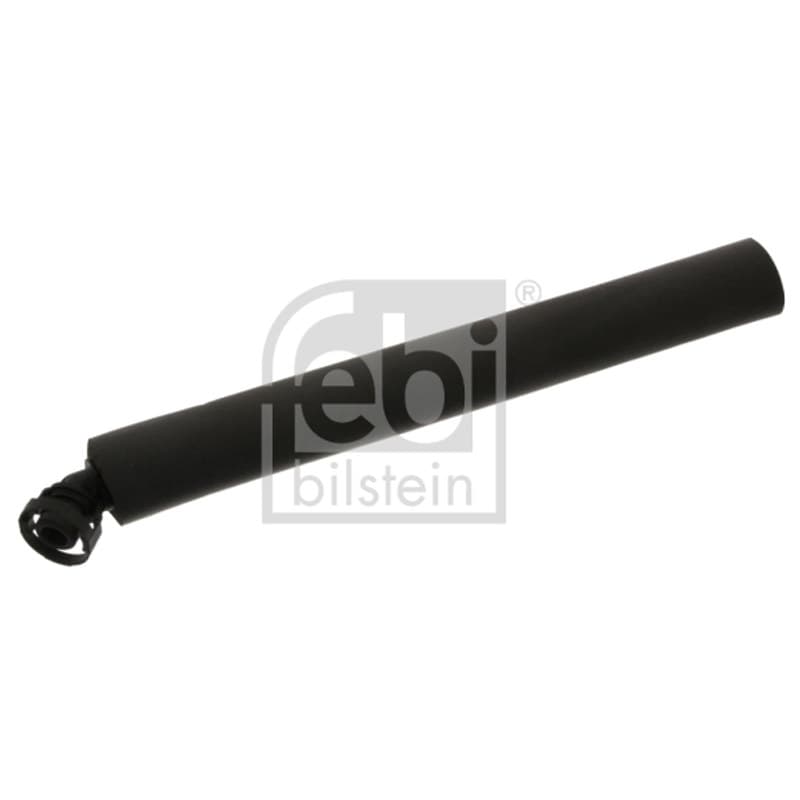 FEBIBILSTEIN žarna, karterio alsuoklis 36730