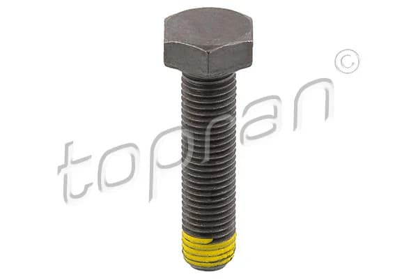 Smagračio varžtas TOPRAN 502 756 502756