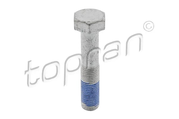 Skriemulio varžtas TOPRAN 723 934 723934