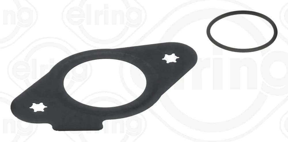 Sandarinimo rinkinys, įpurškimo siurblys ELRING 968.420 968420