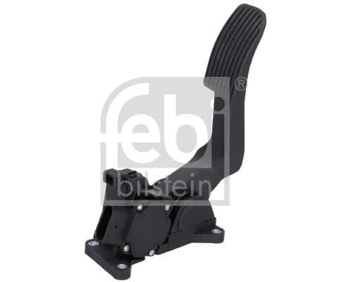 Febibilstein 31284
